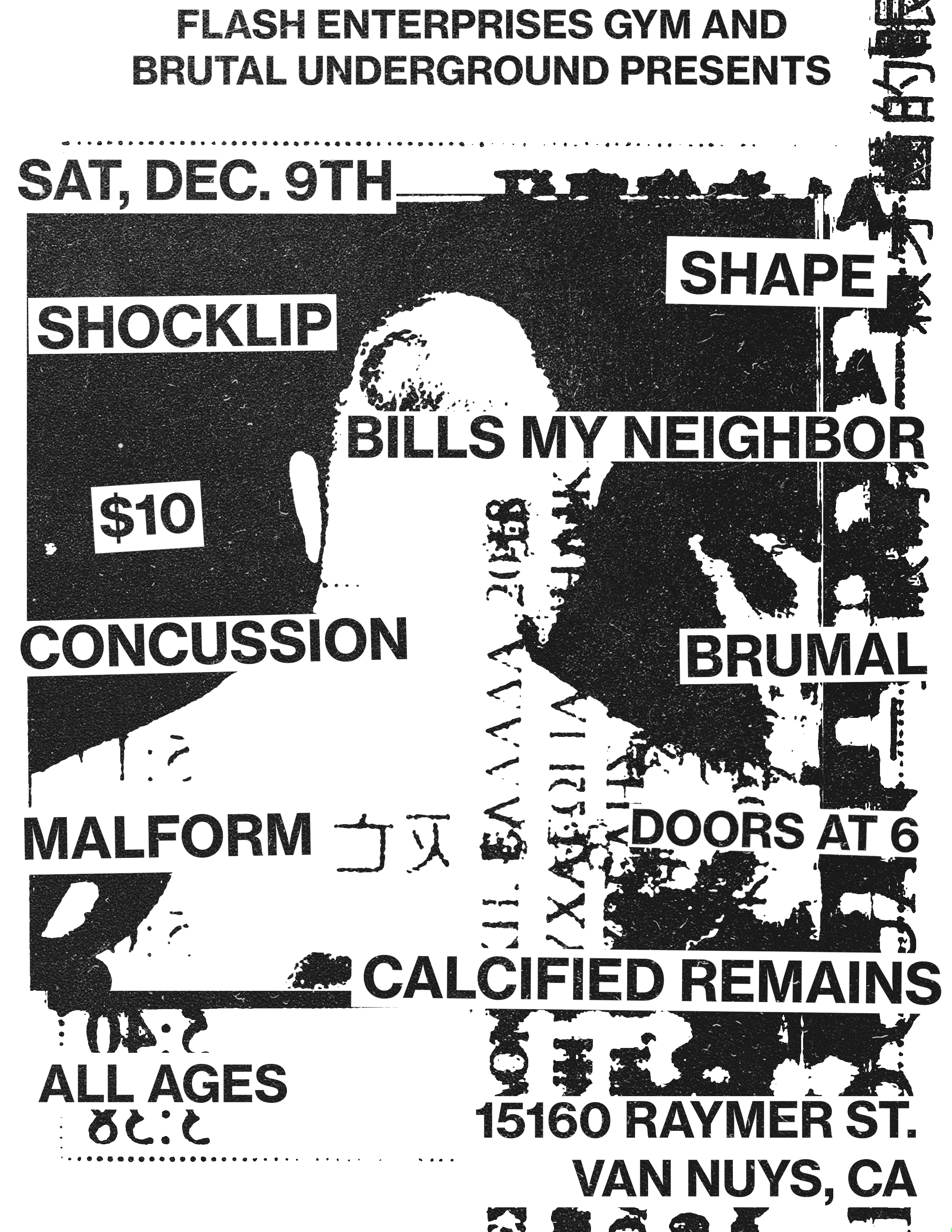 Flyer 12